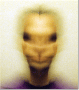 Arcturian (click link below to see how it was photographed)